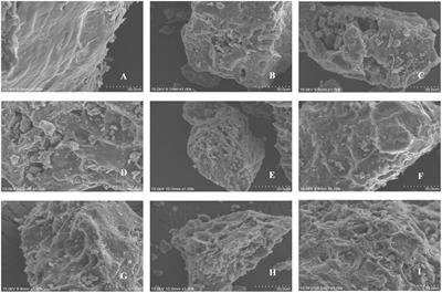 The phenolics, antioxidant activity and in vitro digestion of pomegranate (Punica granatum L.) peels: an investigation of steam explosion pre-treatment